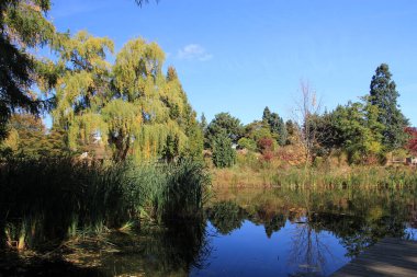 Renkli ağaçlar ve göletlerle sonbahar manzarası