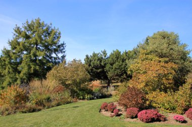 Renkli ağaçlarla sonbahar manzarası
