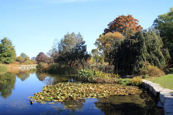 Renkli ağaçlar ve göletlerle sonbahar manzarası