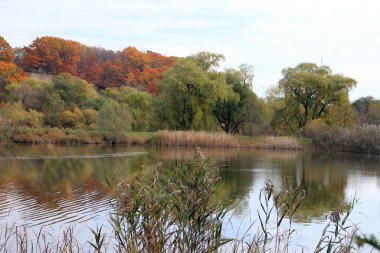 Renkli ağaçlar ve göl ile sonbahar manzarası