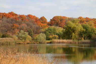 Renkli ağaçlar ve göl ile sonbahar manzarası