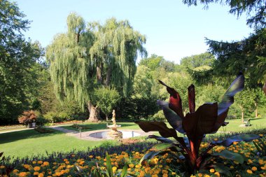 Normal parkın yaz manzarası