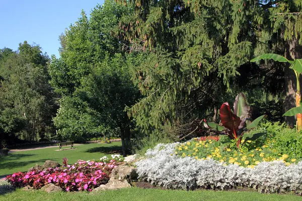 stock image Summer landscape of regular park