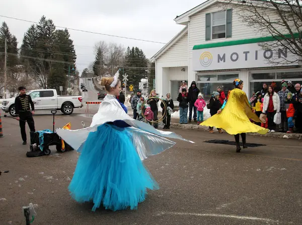 Bracebridge, Ontario, Kanada 'da 27 Aralık 2024' te 