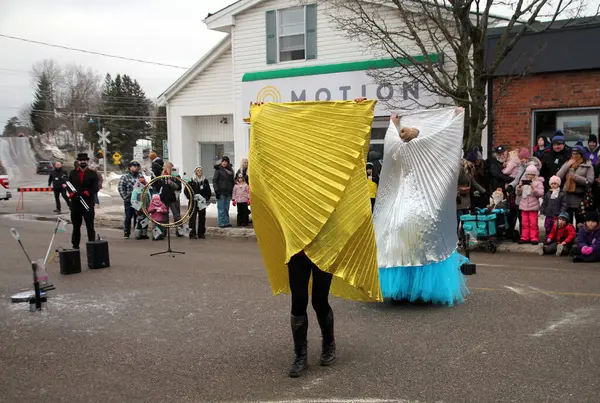 Bracebridge, Ontario, Kanada 'da 27 Aralık 2024' te 