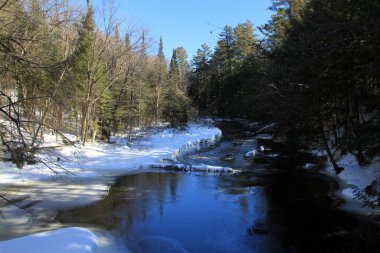 Kış manzara nehir orman ile