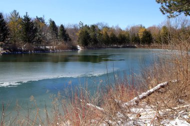 Ormandaki göletli ilkbahar manzarası