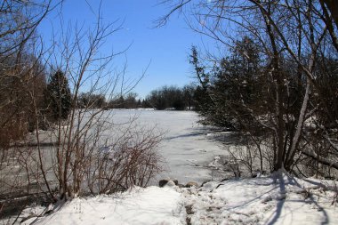 Ormandaki donmuş göletli ilkbahar manzarası