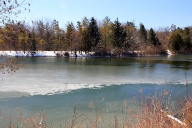 Ormandaki göletli ilkbahar manzarası