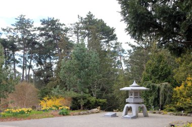 Baharda çiçek açan bir park manzarası