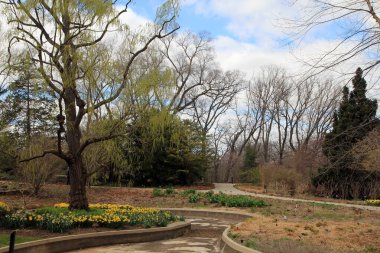Baharda çiçek açan bir park manzarası