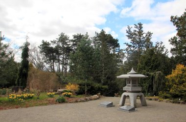 Baharda çiçek açan bir park manzarası