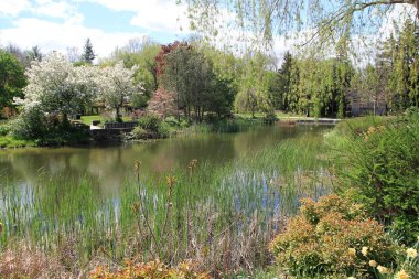 Şehir parkının bahar manzarası