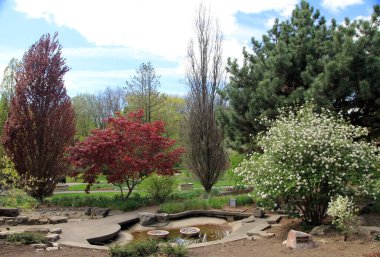 Şehir parkının bahar manzarası