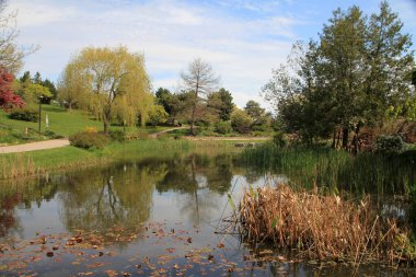 Şehir parkının bahar manzarası