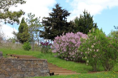 Şehir parkının bahar manzarası