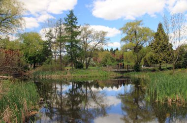 Şehir parkının bahar manzarası