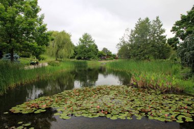 Göletli normal park manzarası