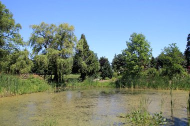 Düzenli parkeith göletinin manzarası
