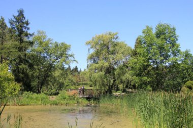 Normal park göleti ve köprü manzarası