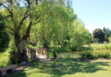 Köprüsü olan yaz manzarası