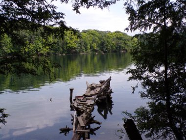 Ormanda sessiz bir göl