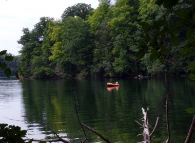 Ormanda sessiz bir göl