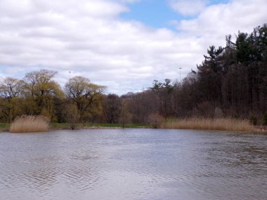 Ağaçlı ve göletli yaz manzarası