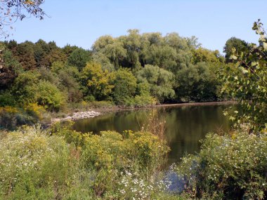Sonbahar manzara ağaçlar ve gölet