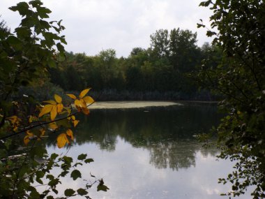 Ağaçlı ve göletli yaz manzarası