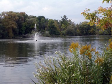 Havuzda çeşme olan yaz manzarası
