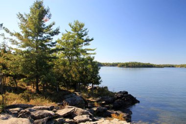 Göl ve ağaçlarla dolu yaz manzarası