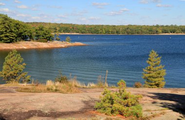 Göl ve ağaçlarla dolu yaz manzarası
