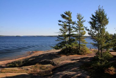 Göl ve ağaçlarla dolu yaz manzarası