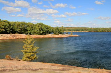 Göl ve ağaçlarla dolu yaz manzarası