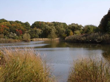 Göl ve renkli ağaçlarla sonbahar manzarası