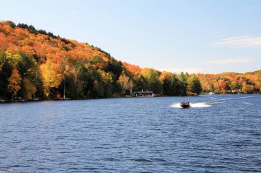Göl ve renkli ağaçlarla sonbahar manzarası