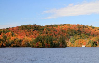 Göl ve renkli ağaçlarla sonbahar manzarası