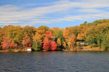 Göl ve renkli ağaçlarla sonbahar manzarası