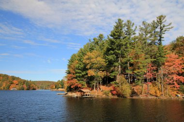 Göl ve renkli ağaçlarla sonbahar manzarası