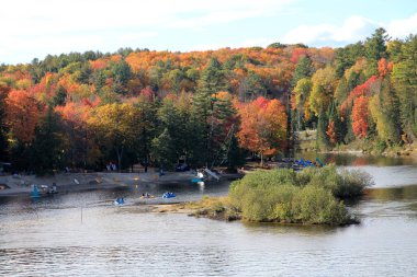Ormandaki nehirle sonbahar manzarası