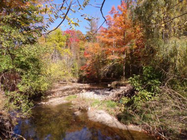 Nehir ve renkli ağaçlarla sonbahar manzarası