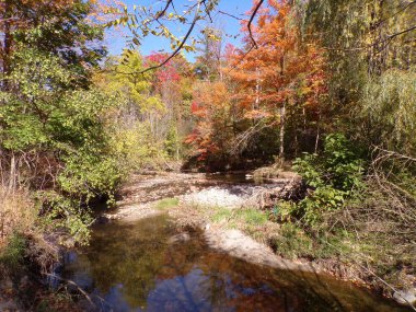 Nehir ve renkli ağaçlarla sonbahar manzarası