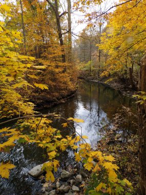 Nehir ve ağaçla sonbahar manzarası