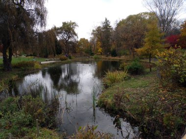 Renkli ağaçlar ve göletlerle parkın sonbahar manzarası