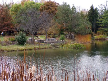Renkli ağaçlar ve göletlerle parkın sonbahar manzarası