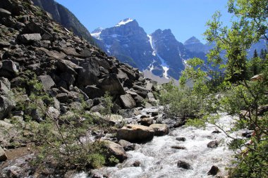 Kanada Alberta 'daki Rocky Dağları' nın manzarası