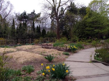 Çiçeklerle dolu bahar manzarası