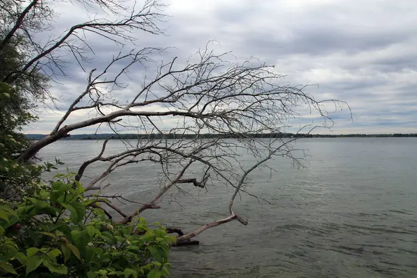 İlkbahar manzarası Göl ve bulutlu gökyüzü
