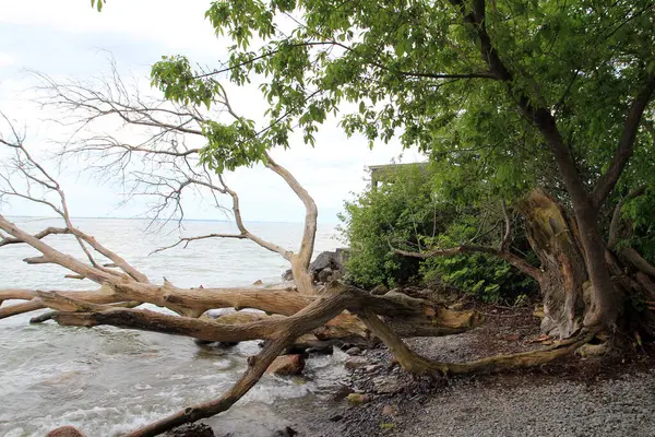 İlkbahar manzarası Göl ve bulutlu gökyüzü